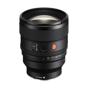 SEL85F14GM2